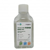 Western Blot 快速转膜缓冲液