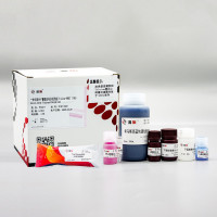 PG311 一体化低分子量蛋白电泳试剂盒(Tricine-P