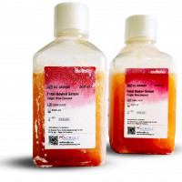 New Zealand Fetal Bovine Serum