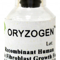 植物源重组人碱性成纤维细胞生长因子,OsrbFGF