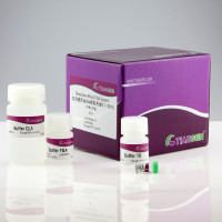 血液基因组DNA提取系统(0.1-20 ml)(DP349)