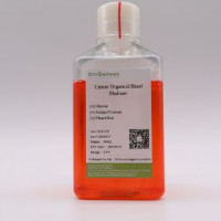 类器官 Cancer Organoid Basal Medi
