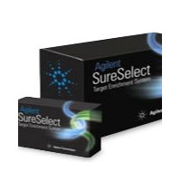 SureSelect XT HS 和 XT 低起始量酶切片段