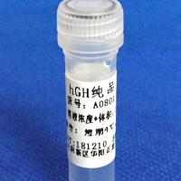人生长激素（hGH）