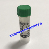 单克隆抗HBcAg抗体
