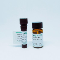 Cy7 荧光染料