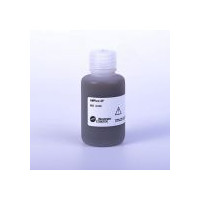 AMPure XP_60mL 核酸纯化试剂盒