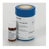 抗-GFP Anti-GFP