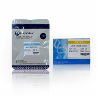 dGTP 100mM solution