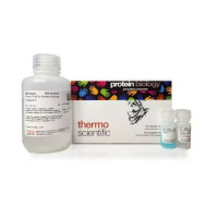 Thermo Scientific A65453 Pierc