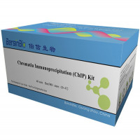 染色质免疫沉淀(ChIP)试剂盒（ChIP kit (动物)