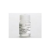 Collagen I型胶原，高浓度，鼠尾，100mg