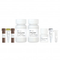 EpiArt DNA Methylation Bisulfi