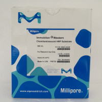 Millipore-ECL/Immobilon Wester