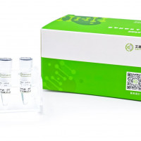 TelN-Max（TelN Protelomerase Ma