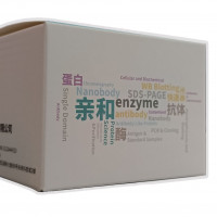 免染PAGE胶一步法制备试剂盒