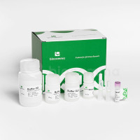 CommaXP® PCR产物纯化试剂盒（柱式法）