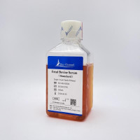 标准胎牛血清Fetal Bovine Serum（Stand
