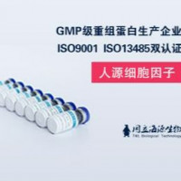 重组人IL-15蛋白
