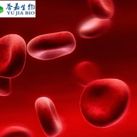人源NK CIK 脐带血干细胞