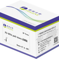 F2-RNA pull down试剂盒-价格低 强亲和力 适
