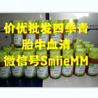 四季青优级胎牛血清 11011-8611、13011-861