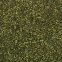 Hep-2人喉表皮癌细胞