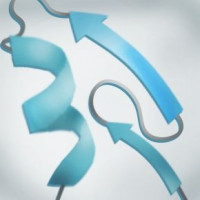 JAK2 (JH1, JH2 domain), His-GS