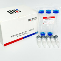 中等体积缓冲液置换试剂盒  /  WS-M Buffer E