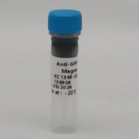 Anti-GFP Nanobody Magnetic bea