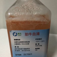 国产超级胎牛血清