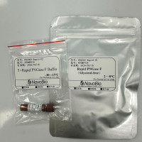 Rapid PNGase F试剂盒
