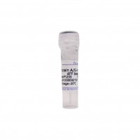 protein A/G magnetic beads