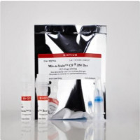 Mix-n-Stain CF514 抗体标记试剂盒, 1x(