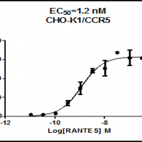 CCR5 (GPCR, Stable cell line,