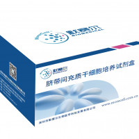 细胞因子诱导的杀伤细胞试剂盒套装，CIK细胞培养套装（2/4