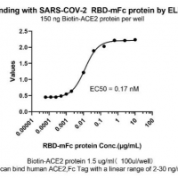 SARS CoV 2 Spike Protein (RBD,