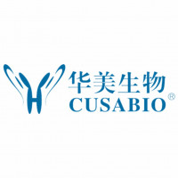 抗体药|先导抗体分子发现服务（药物靶点/抗体筛选/噬菌体展示