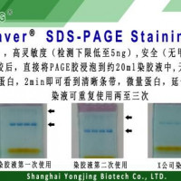 timesaver SDS-PAGE Staining Bu