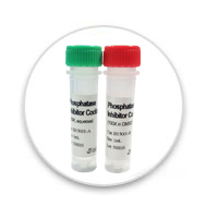 Cinacalcet HCl