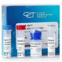 Methyltetrazine-NHS Ester
