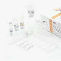 KLH-Digoxigenin-偶联物