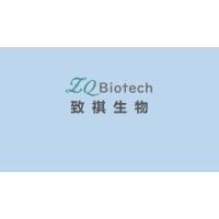 表达HERG通道的稳转Hek293细胞系