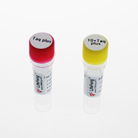Taq plus DNA polymerase