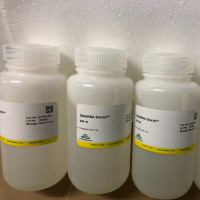 Zymo Research R1100-250保护剂DNA/