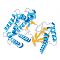 Merckmillipore 16-157 Protein