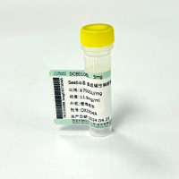 Seebio® 重组碱性磷酸酶（高活性）