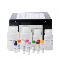 AlphaTSA® 5色免疫组化染色试剂盒 手动 100片