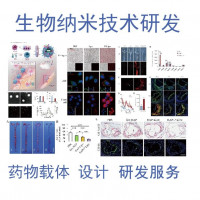 靶向药物递送载体  药物载体科研服务设计  纳米载体设计科
