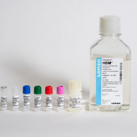 LONZA  CC-3198  HCMTM Hepatocy